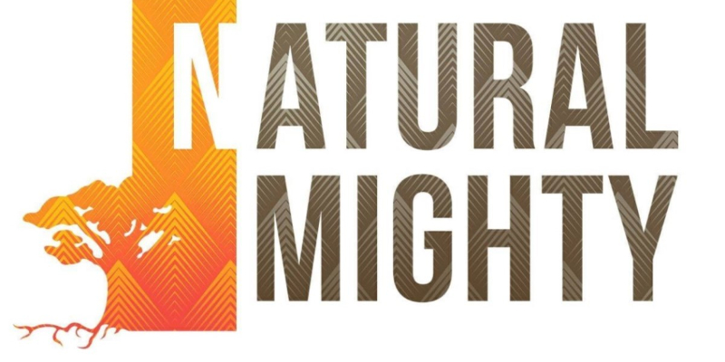 Natural Mighty , groupe de musique Acoustique en représentation à Val de Marne - photo de couverture