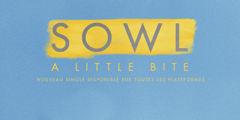 Sowl, musicien Chanteur en représentation à Paris - photo de couverture n° 1