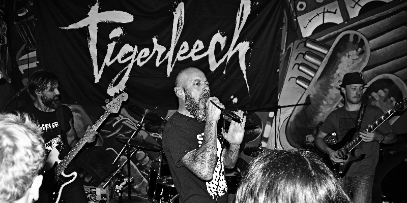 TIGERLEECH, groupe de musique Rock en représentation à Paris - photo de couverture n° 1