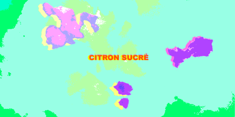 Citron Sucré, musicien Chanteur en représentation à Rhône - photo de couverture n° 3