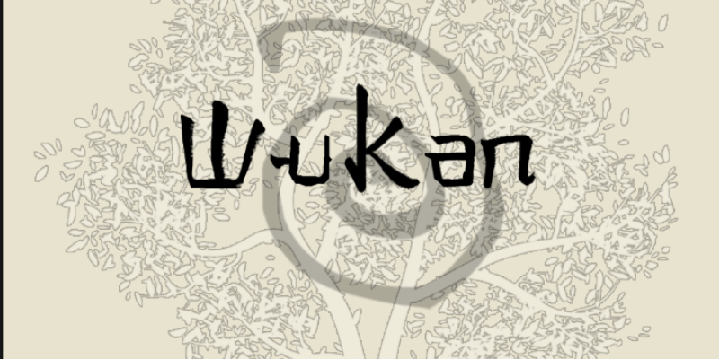 Wukan, groupe de musique Rock en représentation - photo de couverture n° 1