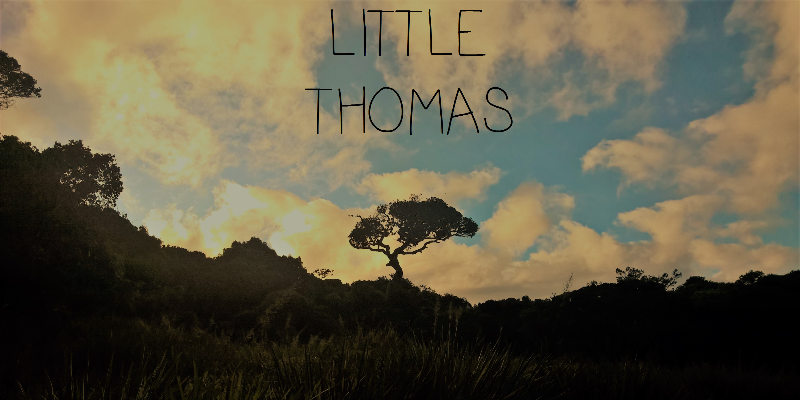Little Thomas, musicien Acoustique en représentation - photo de couverture n° 1