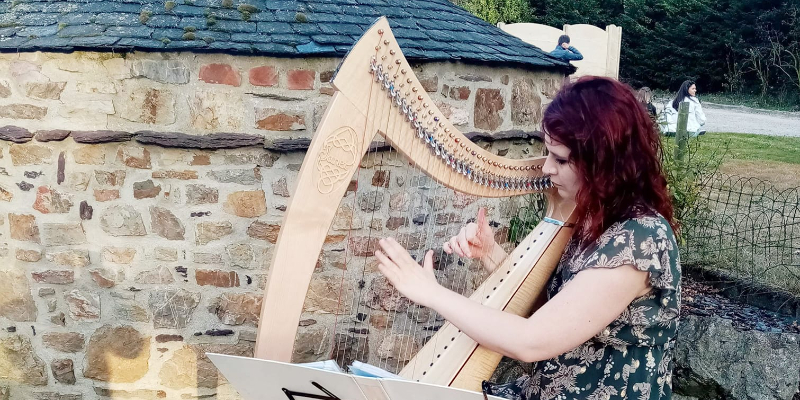 Telennaria, musicien Harpiste en représentation à Val de Marne - photo de couverture n° 3