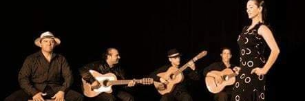Enrique el Gipsy , musicien Guitariste en représentation à Gard - photo de couverture n° 1