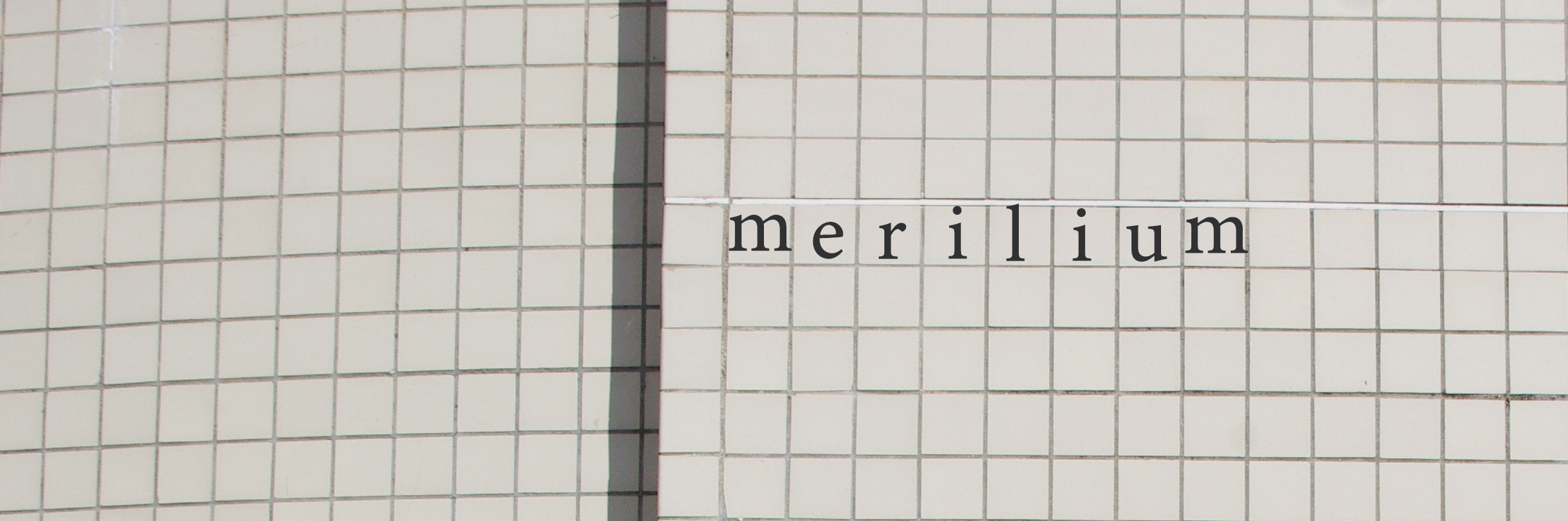 Merilium, musicien Acoustique en représentation à Loire Atlantique - photo de couverture