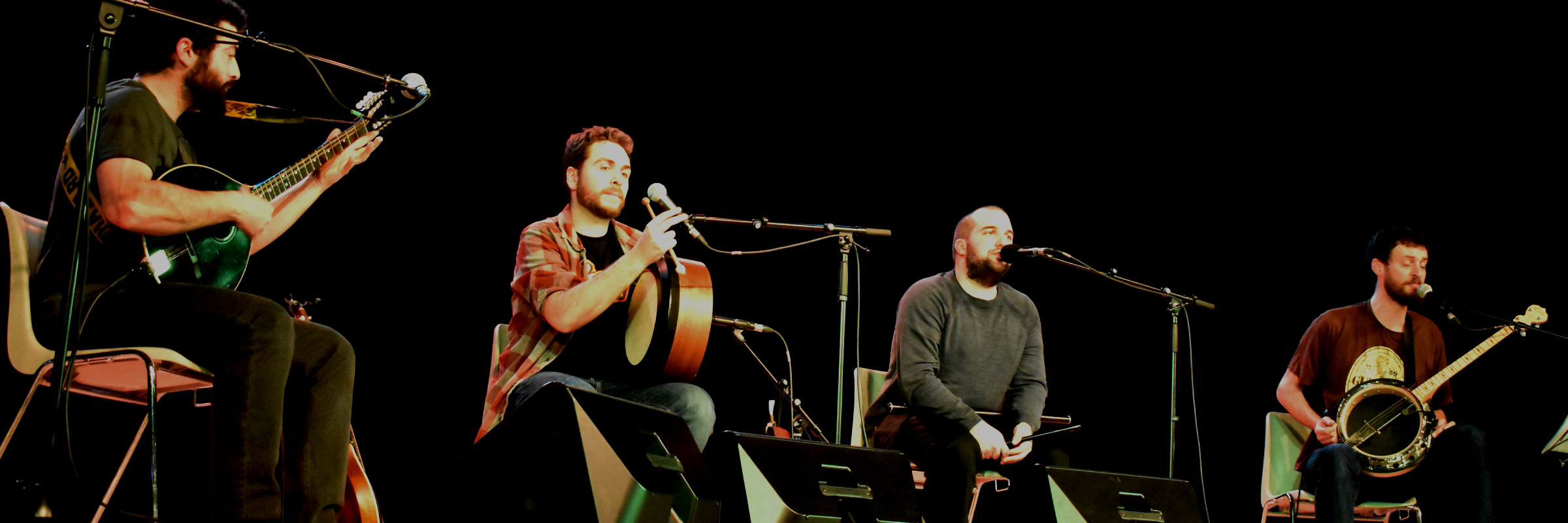 An Féasóg, groupe de musique Musique Irlandaise en représentation à Rhône - photo de couverture n° 2