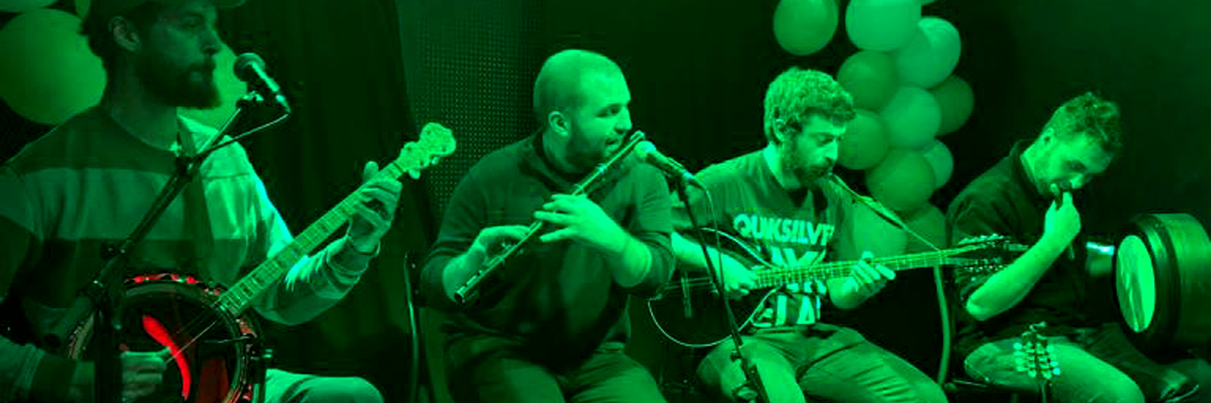 An Féasóg, groupe de musique Musique Irlandaise en représentation à Rhône - photo de couverture n° 5