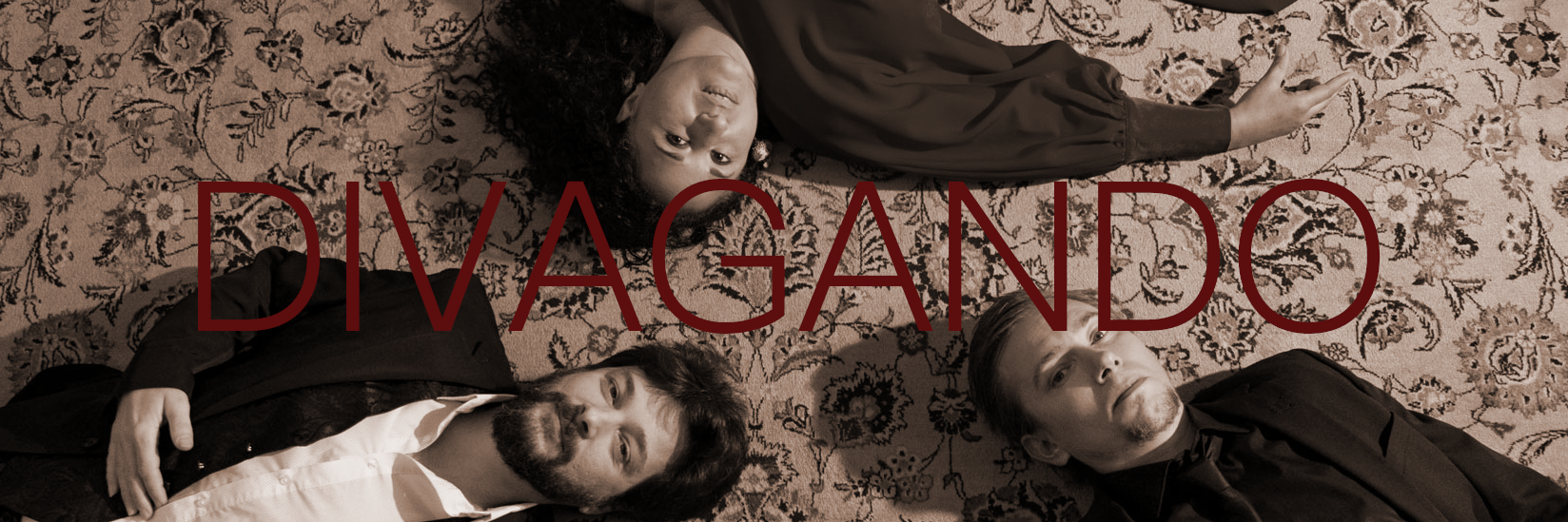 Divagando, groupe de musique Latino en représentation à Hérault - photo de couverture n° 2