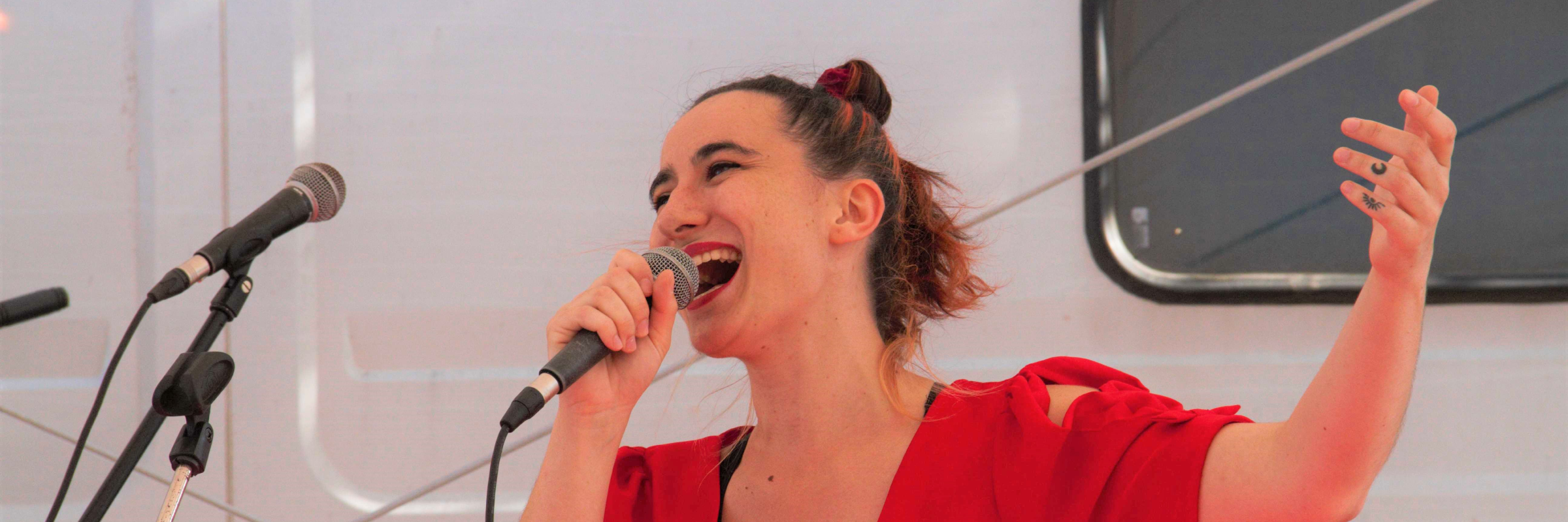 Constance Arnaud, musicien Chanteur en représentation à Ille et Vilaine - photo de couverture