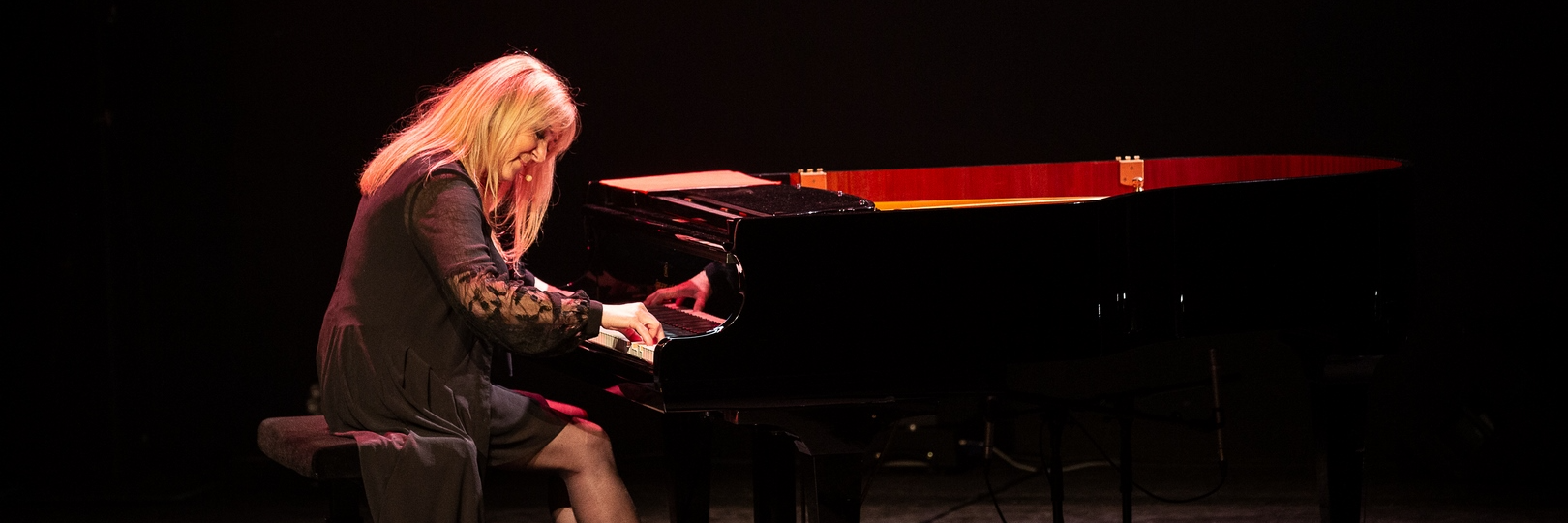 Nadine SADARNAC, musicien Pianiste en représentation à Haute Vienne - photo de couverture n° 3
