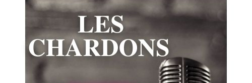 Les Chardons, musicien Guitariste en représentation à Savoie - photo de couverture