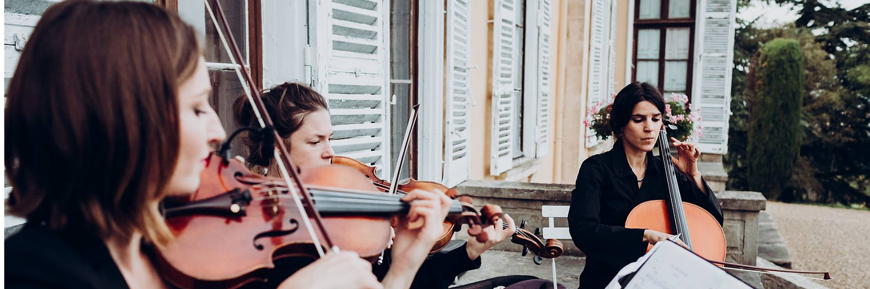 Luster Trio, groupe de musique Acoustique en représentation à Rhône - photo de couverture n° 2