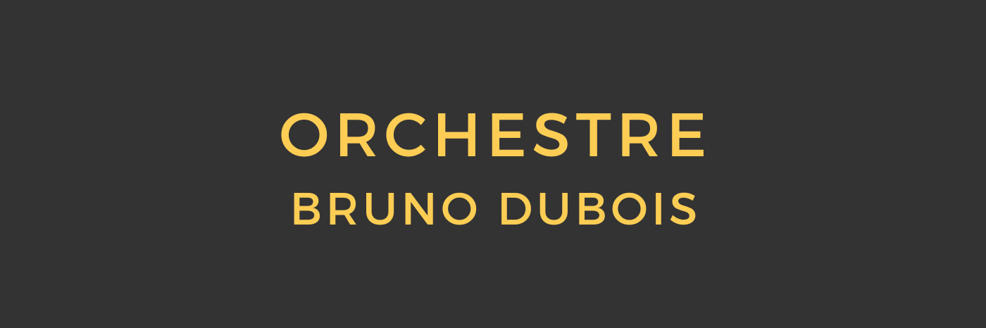 Orchestre Bruno Dubois , musicien Accordéoniste en représentation à Yonne - photo de couverture