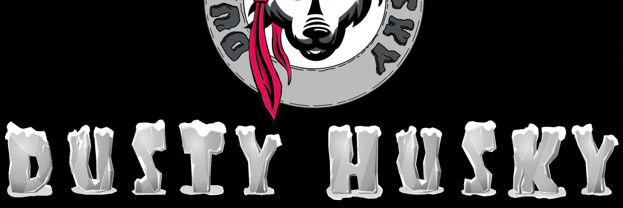 Dusty Husky, groupe de musique Rock en représentation à Drôme - photo de couverture