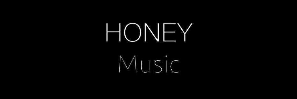 Honey Music , musicien Acoustique en représentation à Gard - photo de couverture
