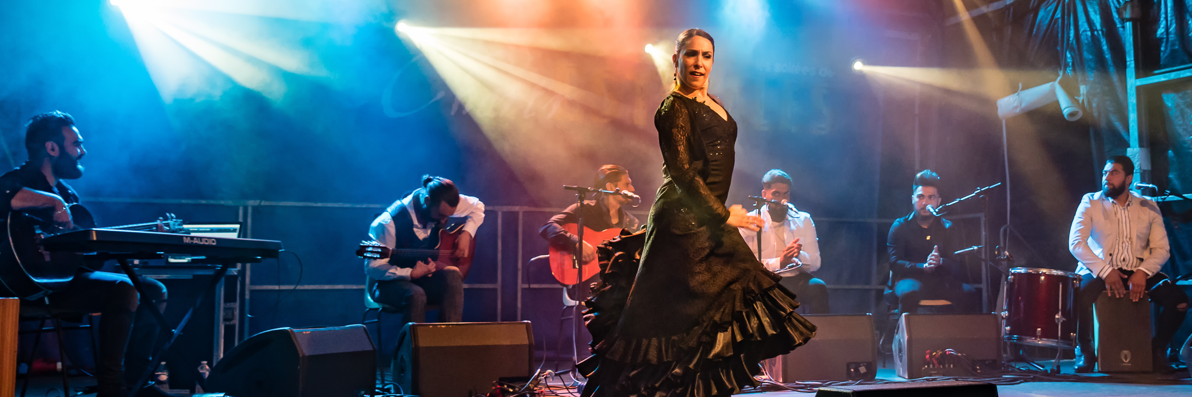 Sanfuego, groupe de musique Flamenco en représentation à Haute Garonne - photo de couverture n° 5