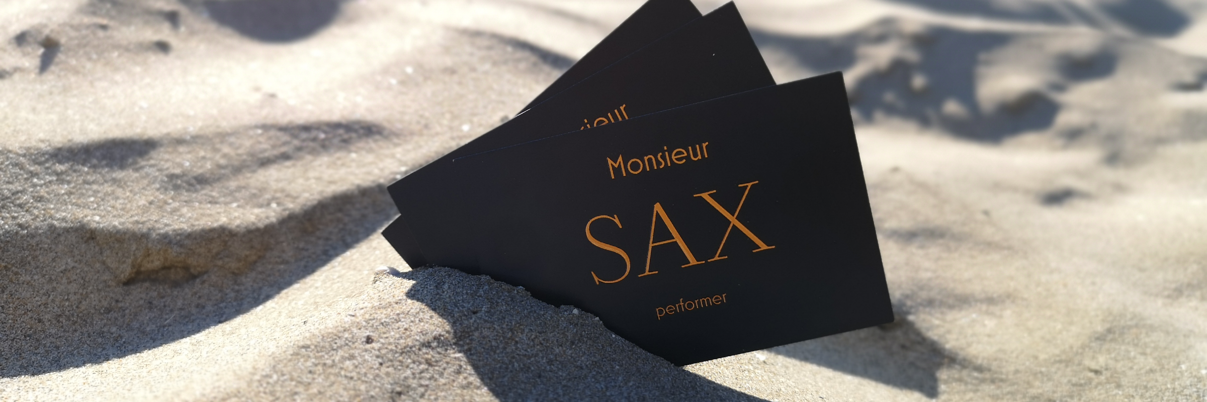 Monsieur SAX, DJ Saxophoniste en représentation à Hérault - photo de couverture n° 4